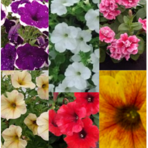 Снимок экрана 2026-02-27 080133